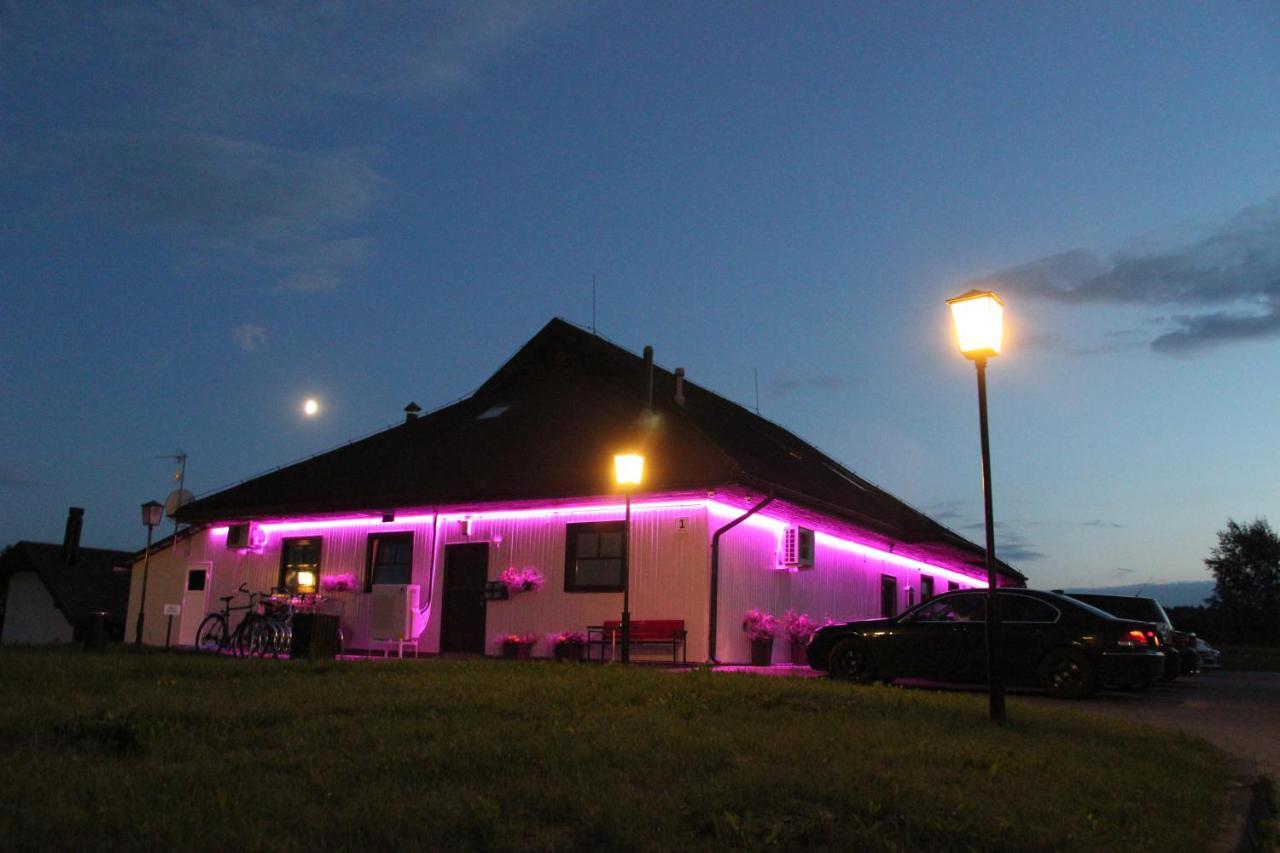 Vila Romnesa Ignalina ภายนอก รูปภาพ